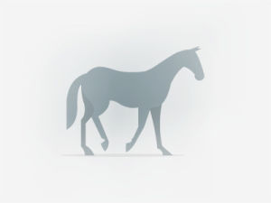 horse,mist,vector,animation,mustafa kural