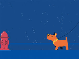 fire hydrant,walking the dog,pee,dog,rain,storm,walk,lightning,thunder,wet,umbrella,raining,rainy,sniff,hydrant,dog walk
