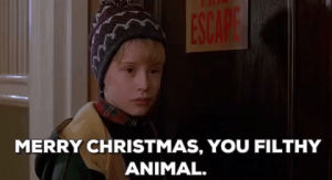home alone 2,merry christmas,home alone 2 lost in new york,merry christmas you filthy animal,christmas movies,macaulay culkin