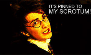 harry potter,funny,music love and pride