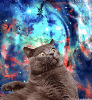 space cat,tumblr cat,nebula,space,pizza,cat space,cat pizza