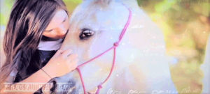 kiss,animal,horse,pet