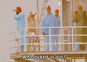 the life aquatic with steve zissou,wes anderson,bill murray