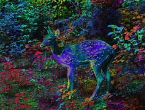 deer,psychedelic,leaves,listening,animals,trippy,nature,colorful,watching,rad,standing,fawn