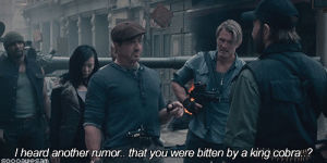 chuck norris,movie,sylvester stallone,dolph lundgren,the expendables 2,yu nan,randy couture
