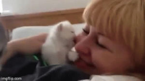 licking,cat,girl,kitten,kisses,tiny kitten kisses girls face