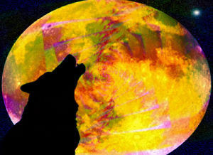 wolf,psychedelic,art,moon