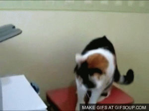 printer,cat,vs
