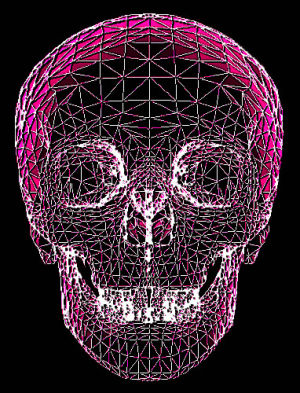 pixel,skull,wireframe,pink