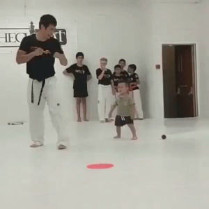 karate,aww,tiny,martial artist
