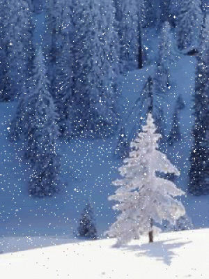 snow,christmas tree,snowing,blizzard