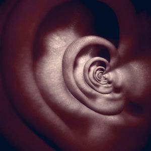 relaxed,blue velvet,hear,ear,twin peaks,autotune,david lynch,itunes,my body is ready,listening,infinity,acoustic,tune,noisy,neverending,tinnitus,music,weird,creepy,noise,ring,sound,pitch,lynch,listen