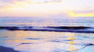beach,waves,nature,hawaii,sunset