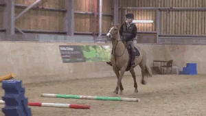 vsco,jump,horse,jumping,horses,equestrian,equine,jumper,equinefeather