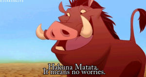 hakuna matata,the lion king,animation,disney,life,quote,quotes,words,truth,word,lion kind,cartoons comics
