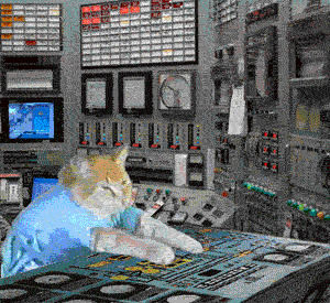 cat dj,cat music,keyboard cat,busy,cat,animals,working