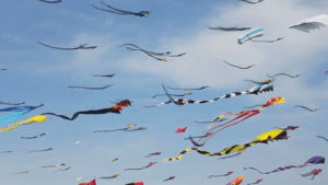 kite,kites,cool kites,bryan cranston