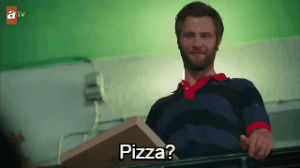 pizza,feride,hooded seal,loose seal,worlds weirdest