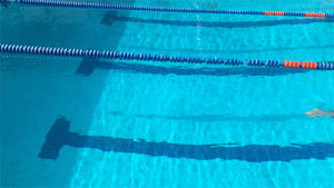 swimming,summer,pool,florida,florida gators,university of florida,go gators,florida pool