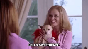 amy poehler,mean girls,mean girls movie,hello sweetheart