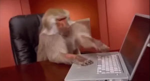 baboon,computer,freezes