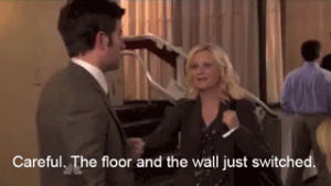 leslie knope,parks and recreation,parks and rec,amy poehler,parks and rec quotes,parks and recreation quotes,the flu