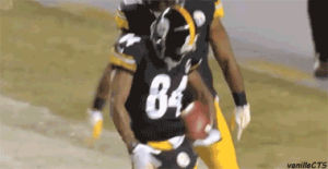antonio brown,nfl,steelers,pittsburgh steelers,pittsburgh,pennsylvania,black and yellow,i know that was gay