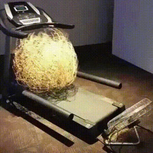tumbleweed,they see me rollin,treadmill
