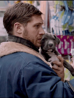 puppy,interview,tom hardy,james gandolfini,dogs,the drop,noomi rapace,dog lover