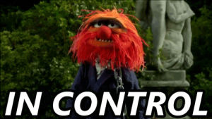 the muppets,in control,animal,muppet movie