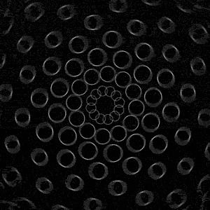 noise,spirograph,motion addicts,circle,sequence,black and white,black,motion,white,mograph,circles,animate,heart head,im online,ur on my mind as much as im online