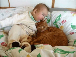 cat and baby,cat,kiss,baby,kisses
