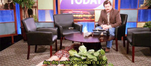 cat,parks and recreation,dogs,parks and rec,ron swanson