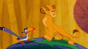 the lion king,i just cant wait to be king,disney,simba,set