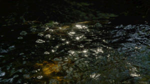 cinemagraph,bubbles,nature,stars,perfect loop,cinemagraphs,stream,flow,living stills,creek