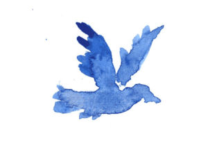 bird,flying,flapping,blue,free,paint