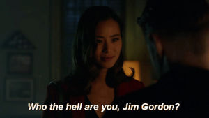 jamie chung,valerie vale,fox,gotham,mad city,who the hell are you
