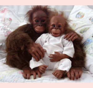 orangutan,baby,mom,pics
