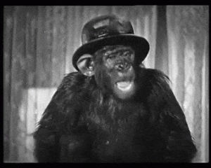 chimp,laurel and hardy,chimpanzee,hal roach,monkey,stan laurel,oliver hardy,dirty work,optionshow,vai wilson vai,dont need no man