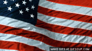 american flag,monday,dc,november