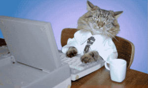 computer cat,business cat,secretary,art,cat,loop,weird,business,typing,tie,barry,ewan,catz,ewanjonesmorris,ewan jones morris,retro laptop,cat in tie