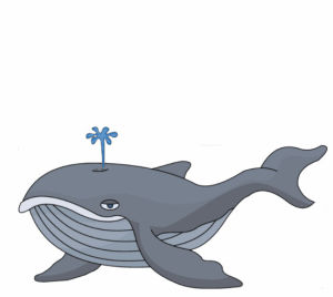 whale,free,panda,images,clipart,humpback