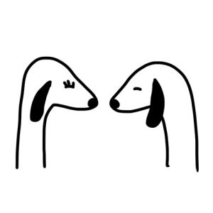 beso,dog,love,heart,besos,yay,kissing,dogs,inlove,smooch,dogs in love,dog kiss,aww,make out,puppy love,valentines,2017,funny,happy,cute,lol,fun,valentines day,puppies,february,awww,pup,cupid,doggies,dawgs