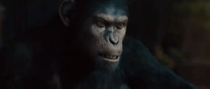 angry,dawn of the planet of the apes,no