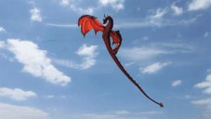 dragon,kite,cool kite,dragon kite