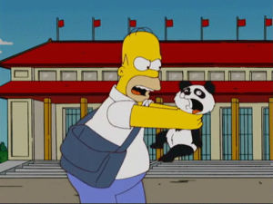 panda,homer simpson,angry,choking,simpsons
