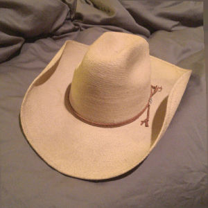 cowboy hat,seene