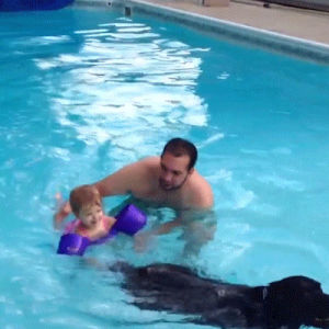 dog,swimming,lessons,helps