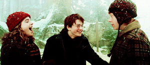 hermione granger,harry potter,friends,snow,rony weasley