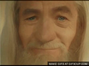 The lord of the rings gandalf frodo GIF - Find on GIFER